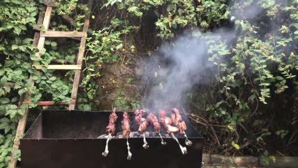 Grill Mit Rauch Über Sommer Natur Garten Oder Park Freien — Stockvideo