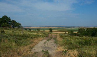 Tarlalardan geçen köy yolu.