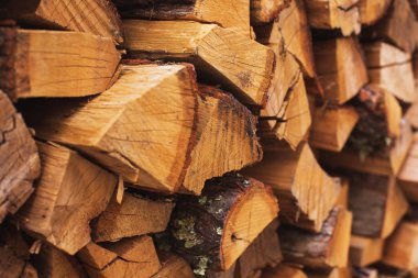 Odun yığınları. Kış için yakacak odun hazırlığı