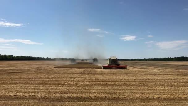 Krasnodar Region Ryssland Juni 2018 Flygfoto Över Traktorn Jordbruksmaskiner Traktor — Stockvideo