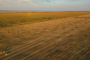 Gün batımında alanındaki samanlıkta. Havadan görünümü