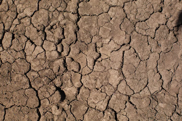 Dry Land Earth Sand Hot Nature Close View Dry Earth — Stock Photo, Image
