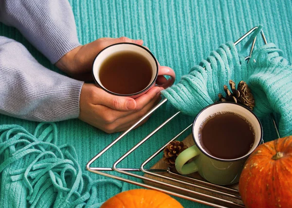 Autumn Composition. Woman\'s Hands with Mug of Tea or Coffee, Pumpkins, Cones on a Warm Blanket. Hot Drink for Autumn Cold Days. Cozy Concept, Autumn Mood.