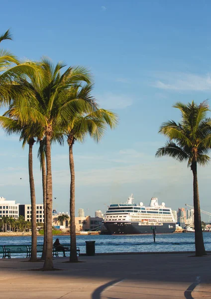 Miami Verenigde Staten Januari 2019 Vakantiedag Cruiseschip Haven — Stockfoto