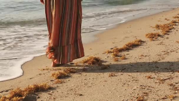 Femme Belle Robe Marchant Sur Sable Mouillé Sur Plage Female — Video