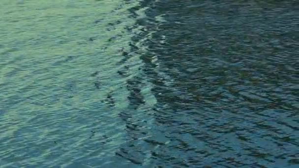 Tekstur Permukaan Air Danau Atau Riak Pond Dan Gelombang Dekat — Stok Video
