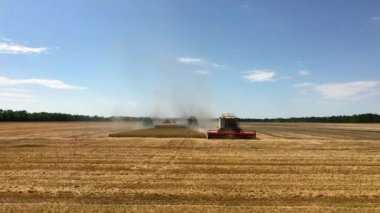 Krasnodar region, Rusya - 27 Temmuz 2018: Sarı Sahada Makine Çalışması. Güzel Panorama. Hasat Makinesi Hasat Altın Olgun Buğday Tarlası birleştirin. Tarım. Yaz Saati