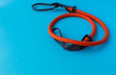 Turuncu Germe Bandı.