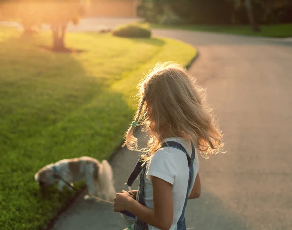 可爱的小女孩走在美丽的日落在街上的狗 女孩站在后面走与宠物 快乐的孩子玩有趣的户外与小狗 在夏季享受 — 图库照片