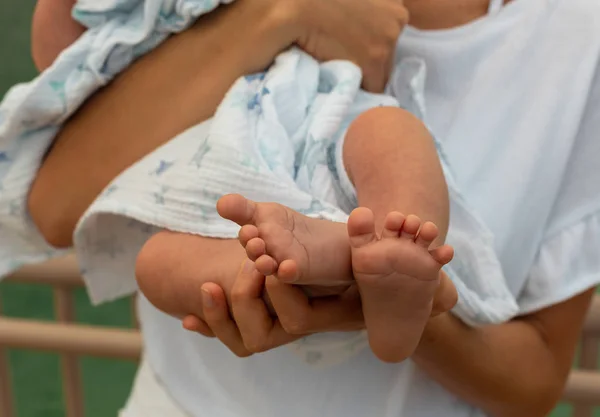 Feet of Infant Baby. Little Feet of one month old baby closeup in parents hands. Pregnancy, maternity,  motherhood concept.
