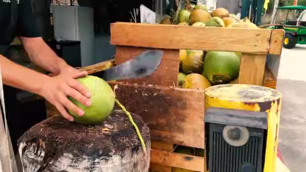 Miami Usa Marts 2019 Sælger Revner Åbner Kokosnød Marked Naturlig – Stock-video