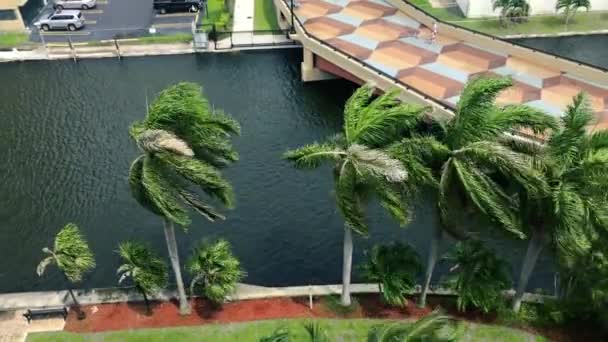 Palm Trees Blowing Strong Wind Expecting Terrible Hurricane Dorian Miami — Stock Video