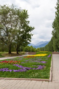 Şehir Parkı arka planı Dağları nın çiçeklerle güzel sokak