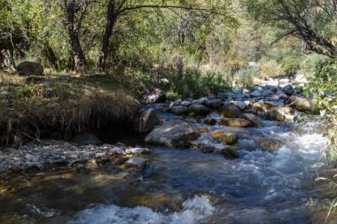 Küçük dağ dere taşları ile hızlı bir akım arasında