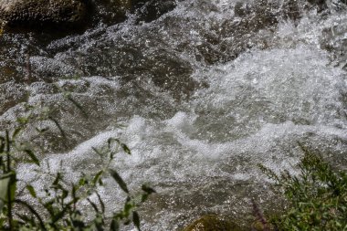 bir eşik bir dağ dere içinde su