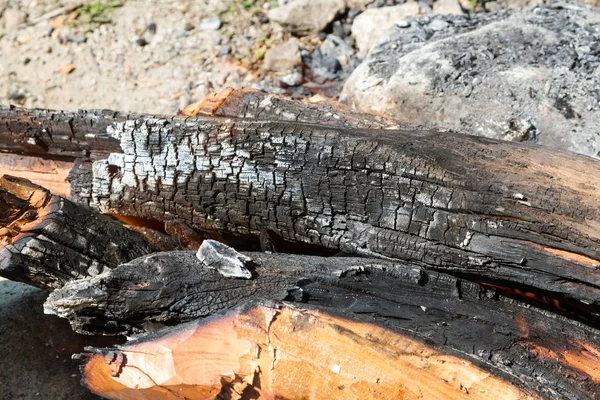 Verkohltes Brennholz Brandort Zurückgelassen — Stockfoto