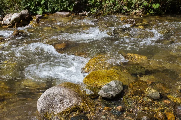 Acqua Pulita Torrente Con Una Piccola Soglia — Foto Stock