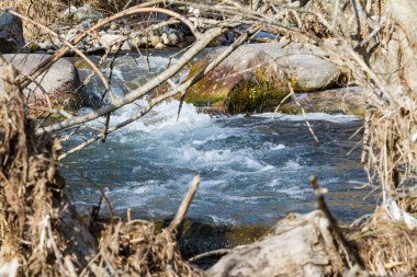 nehir taşları arasında stream