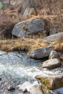 bir dağ nehir su akışı