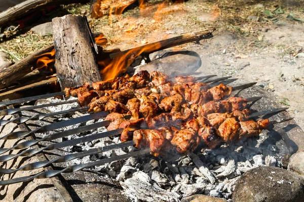 Kebab Natureza Cozido Carvão — Fotografia de Stock