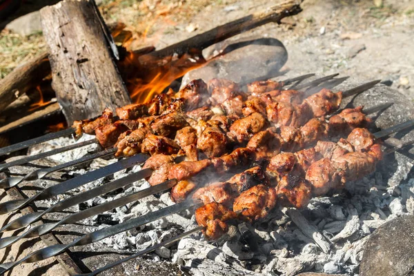 Kebab Natuur Gekookt Kolen — Stockfoto