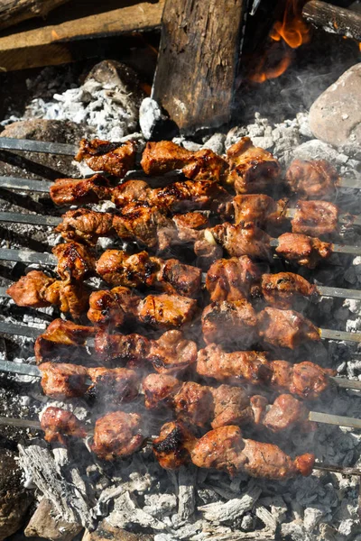 Természetben Parazsat Főtt Kebab — Stock Fotó