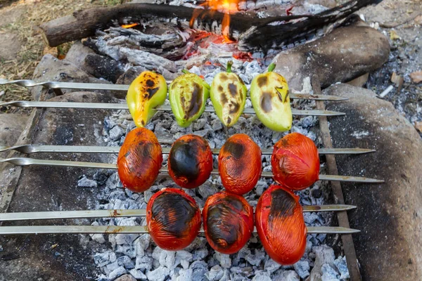 Pimiento Los Tomates Cocinan Sobre Carbón — Foto de Stock