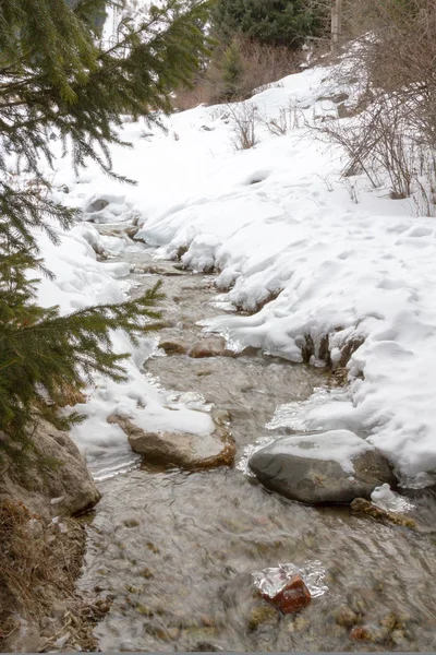 Trans-Ili Alatau dağlarında donmuş dağ dere