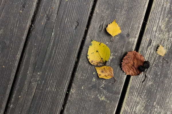 Hojas amarillas otoñales sobre suelo de madera — Foto de Stock