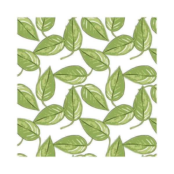 Patrón sin costuras con hojas verdes dispuestas aleatoriamente sobre fondo blanco. Patrón sin costura botánica vectorial . — Archivo Imágenes Vectoriales