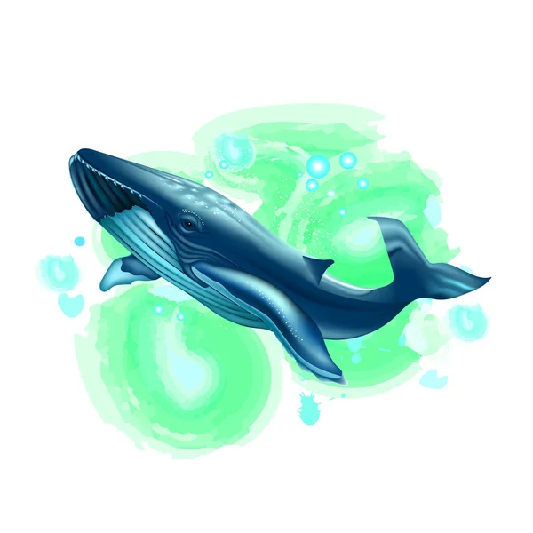 Ilustracja Wektorowa Płetwala Błękitnego Niebieskim Tle Naklejki Ścienne — Wektor stockowy