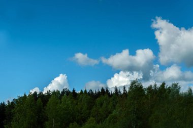 Toptrees kadar mavi gökyüzü ve bulanık ağaçlar arıyorum. Masmavi gökyüzü ve parlak bulut gündüz çok güzel. Güzel parlak yeşil yaprak ağaç dalıdır