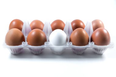 Plastik ambalaj arka plan beyaz ve kahverengi tavuk yumurta