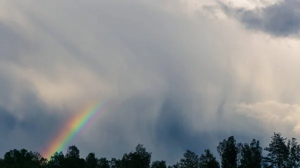 Ljus Regnbåge Dramatiska Himlen Ovanför Soliga Träd Och Äng Efter — Stockfoto