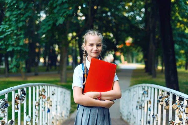 Schoolgirl tonåring med Pigtails med böcker och anteckningsbok — Stockfoto