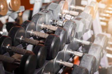 spor salonunda birçok dumbbell