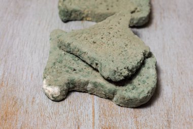 eski küflü ekmek. Mantar. bozulmuş ürün