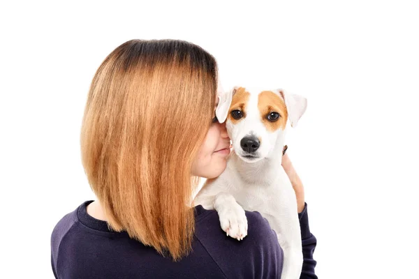 Portrait Cute Dog Jack Russell Terrier Shoulder Its Owner Isolated — Stock Photo, Image