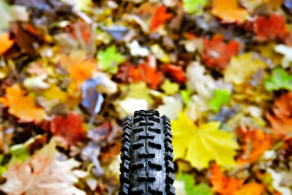 Fahrradrad Auf Dem Hintergrund Von Buntem Laub — Stockfoto