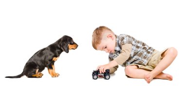 Küçük şirin çocuk oyuncak araba beyaz arka plan üzerinde izole onun köpek yavrusu ile çalış