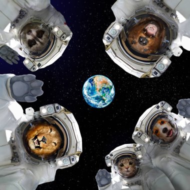 Uzay giysileri Dünya gezegeninin arka planda uzayda hayvanlarda. Nasa tarafından döşenmiş bu görüntü unsurları.