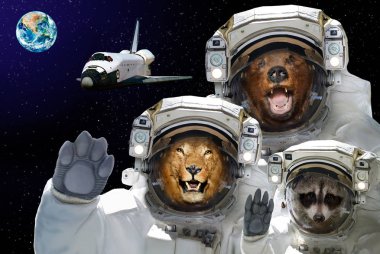 Tüm kullanılabilir alan vardır. Ayı, Rakun ve arka planı uzay uzay mekiği ve Dünya gezegeninin aslan. Nasa tarafından döşenmiş bu görüntü unsurları.