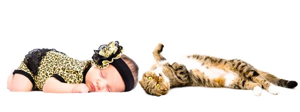 かわいい眠っている新生児少女と白い背景に分離されたスコティッシュフォールド猫 — ストック写真