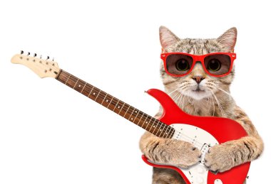 Kedi beyaz arka plan üzerinde izole elektro gitar ile güneş gözlüğü