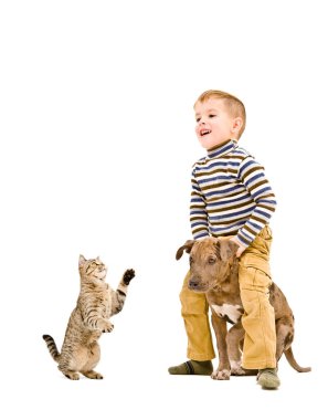 Beyaz arka planda izole bir köpek yavrusu ve kedi ile oynayan neşeli çocuk
