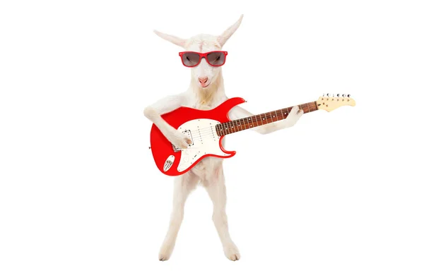 Cabra Engraçada Óculos Sol Com Guitarra Elétrica Isolado Fundo Branco — Fotografia de Stock