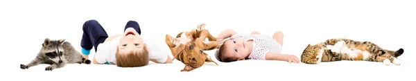 Gruppo Simpatici Bambini Animali Domestici Sdraiati Isolati Sfondo Bianco — Foto Stock