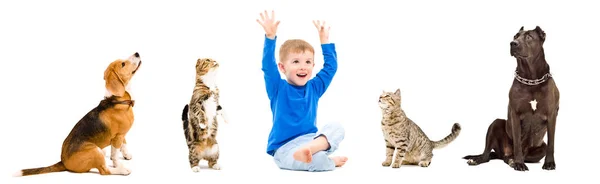 Group Cheerful Child Playful Pets Together Isolated White Background — Stock Photo, Image