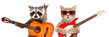 Güneş gözlüklü rakun ve kedi portresi, beyaz arka planda izole edilmiş gitarlar.
