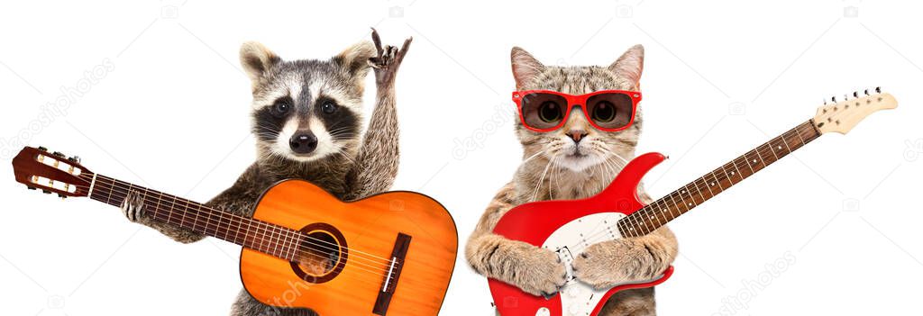 Portrait of raccoon and cat in sunglasses with guitars isolated on white background